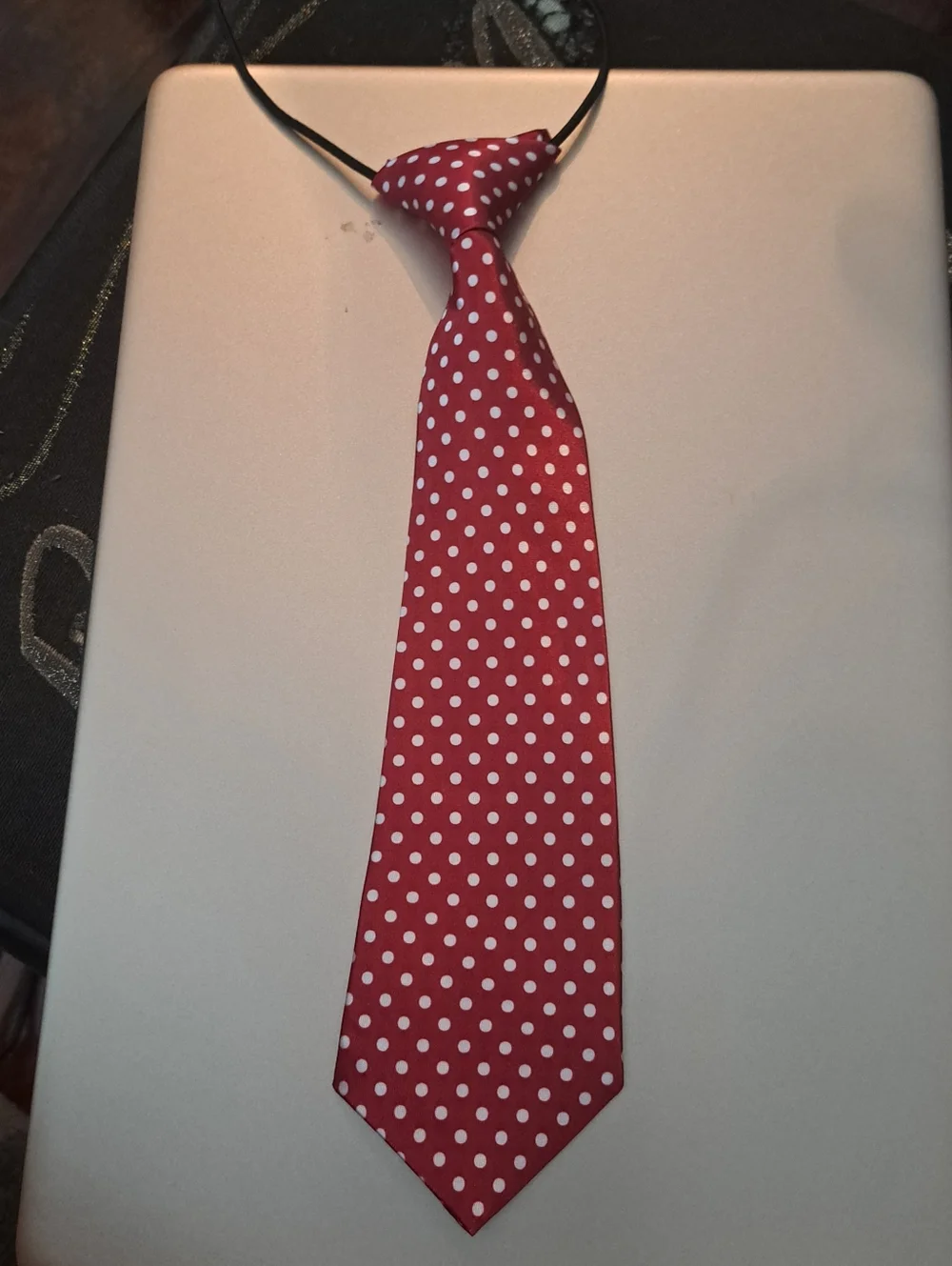 Burgundy Polka Dot Neck Tie